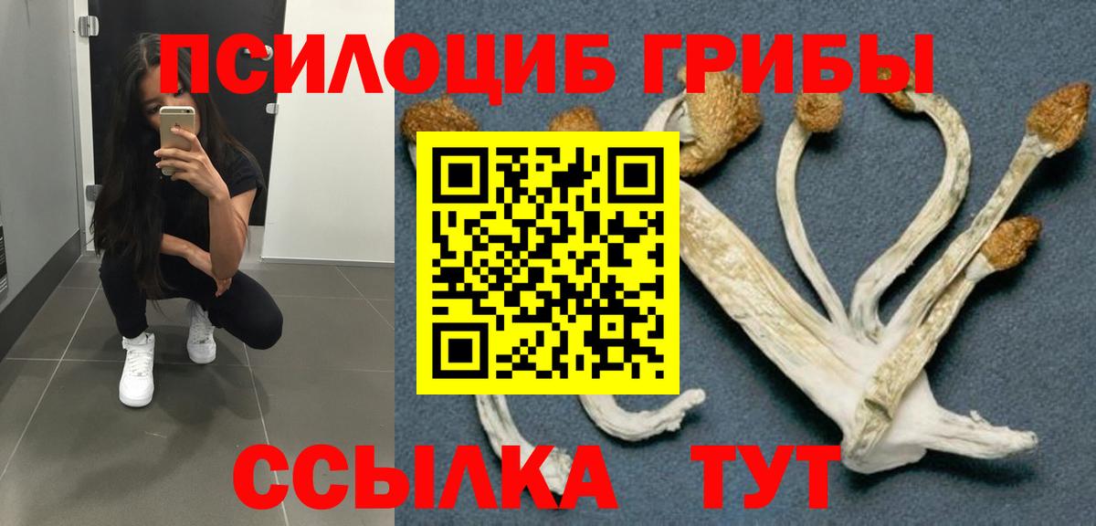 Псилоцибиновые грибы GOLDEN TEACHER  Вход с VPN  Кузнецк  Псилоцибиновые грибы MAGIC MUSHROOMS 