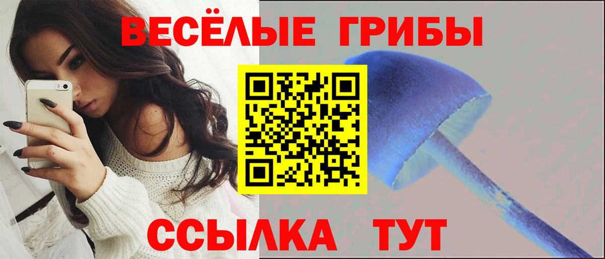 Псилоцибиновые грибы прущие грибы Кузнецк